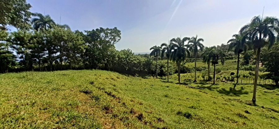 Mini Farm Community — photo 4