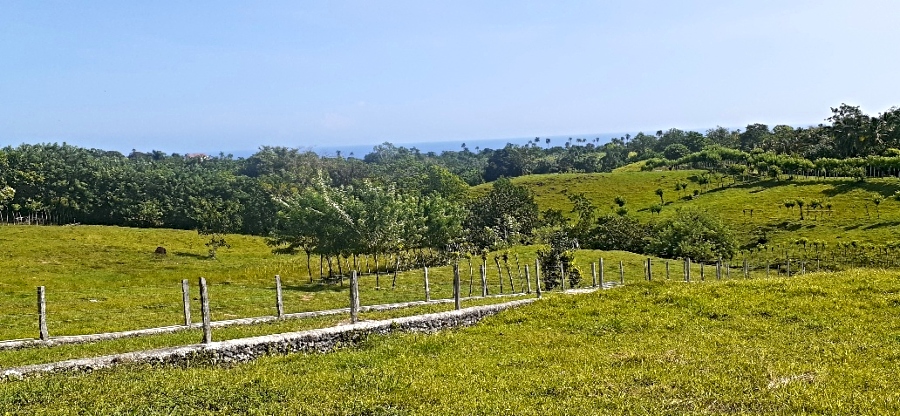 Mini Farm Community — photo 6