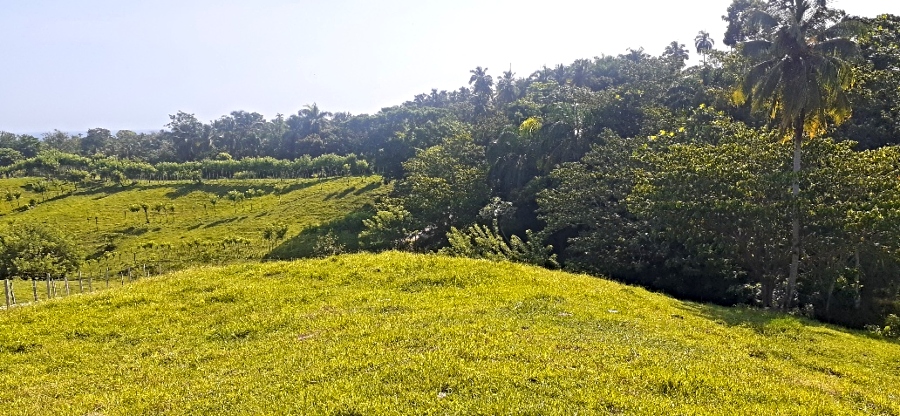 Mini Farm Community — photo 8