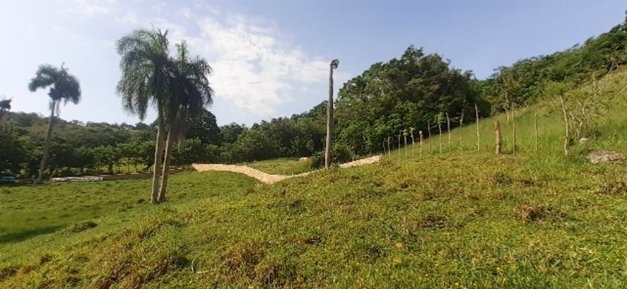 Mini Farm Community — photo 9