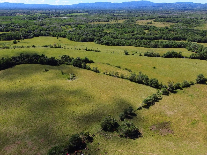 The Perfect Big Farm with a River — photo 10