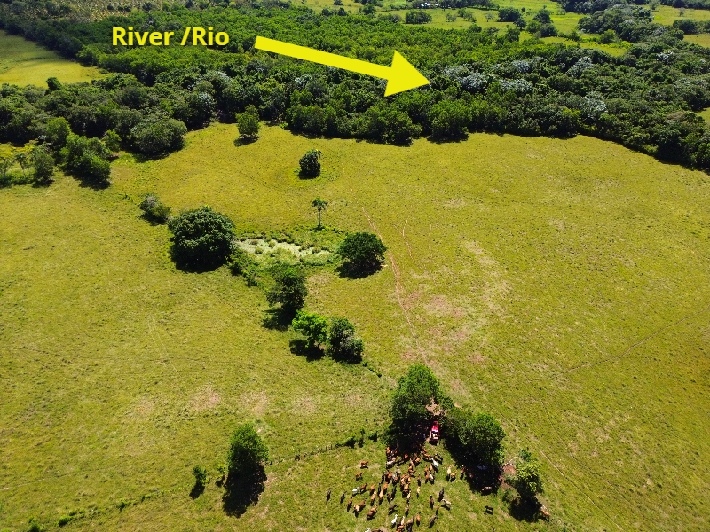 The Perfect Big Farm with a River — photo 3