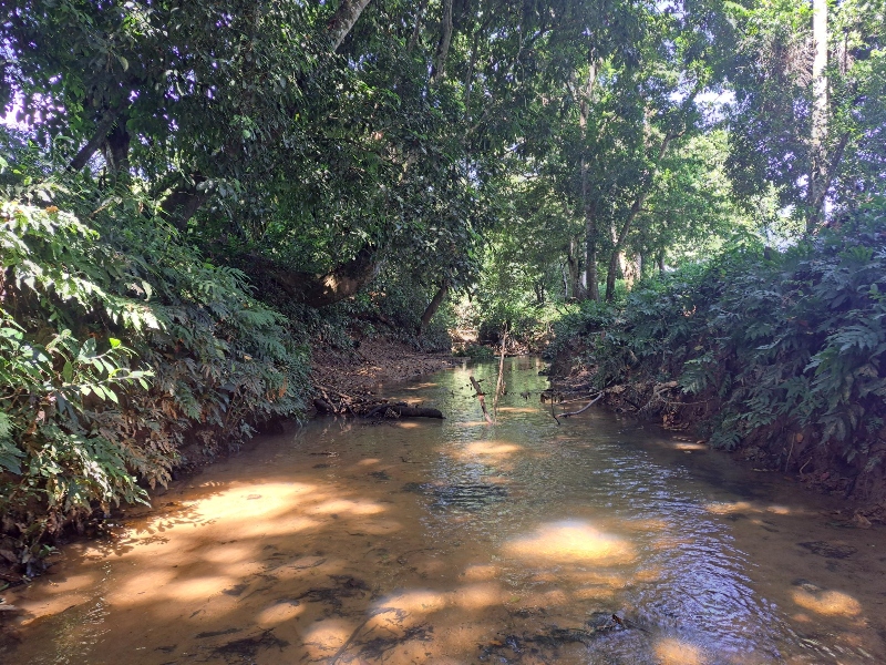 The Perfect Big Farm with a River — photo 4