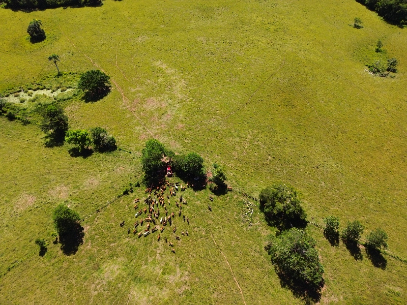The Perfect Big Farm with a River — photo 6