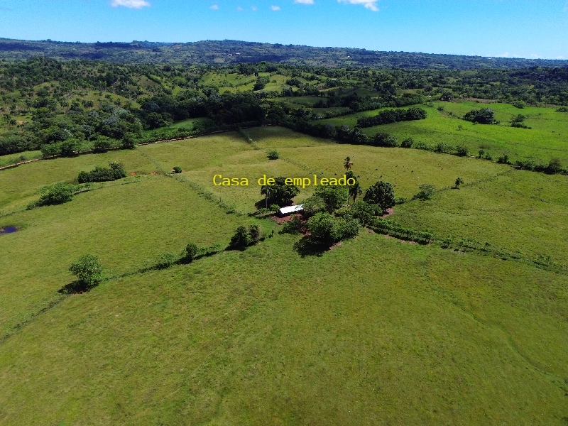 The Perfect Big Farm with a River — photo 7