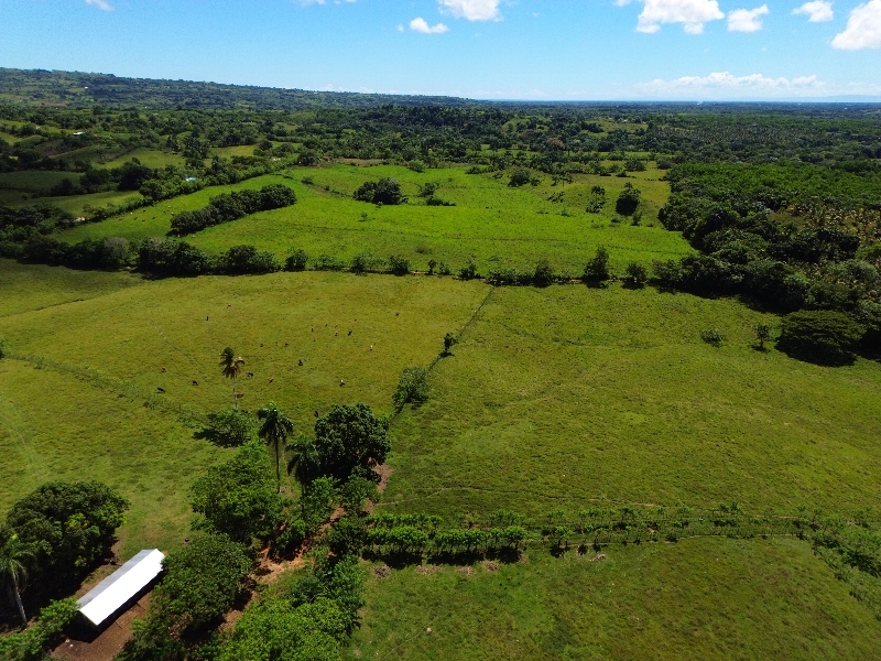 The Perfect Big Farm with a River — photo 8
