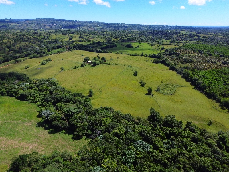 The Perfect Big Farm with a River — photo 9