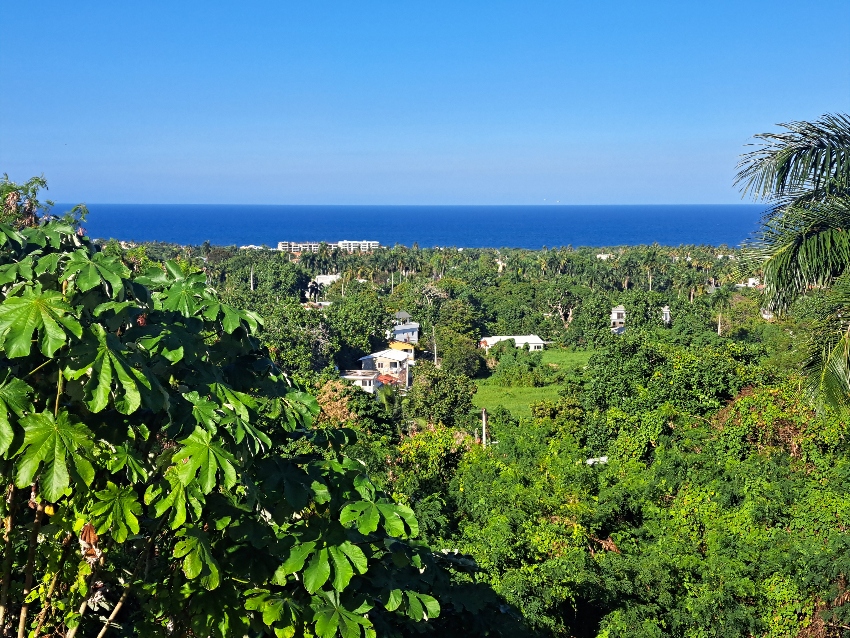 Sight Unseen Ocean View — photo 4