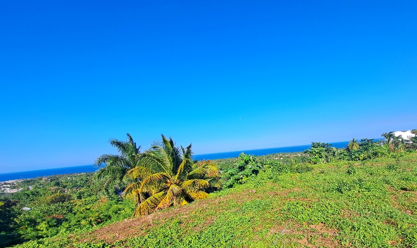 Sight Unseen Ocean View — photo 7