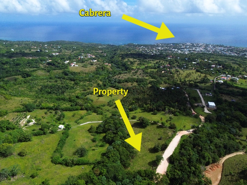 Proyecto Loma y Bosque