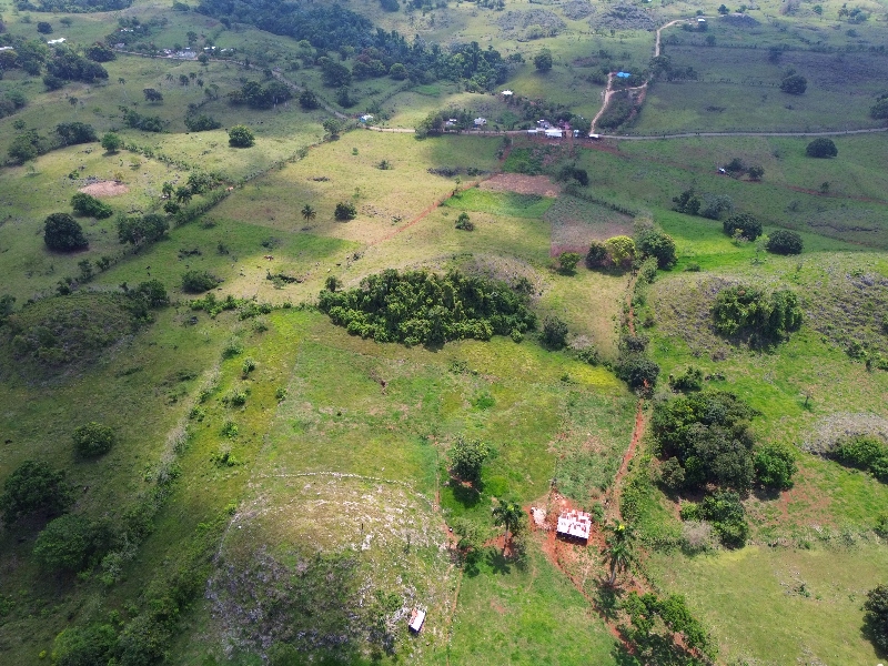 Finca La Pionia